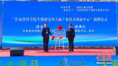 甘肃陇南：青山绿水点“麻”成金 一缕药香穿越秦巴